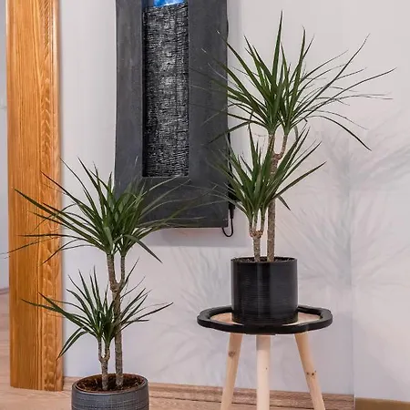 فندق مبيت وإفطار Sobe 