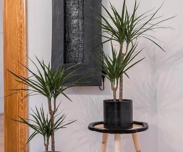 ベッド・アンド・ブレックファスト Sobe 